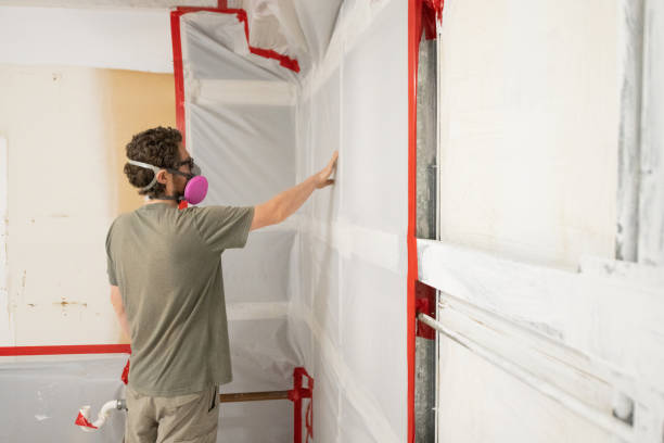 Mold Remediation for Rental Properties in New Haven, WV