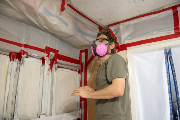Best Comprehensive Air Testing for Mold Contaminants  in New Haven, WV