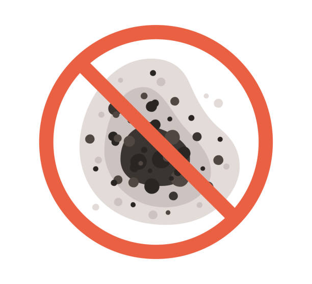 Best Emergency Mold Remediation  in New Haven, WV
