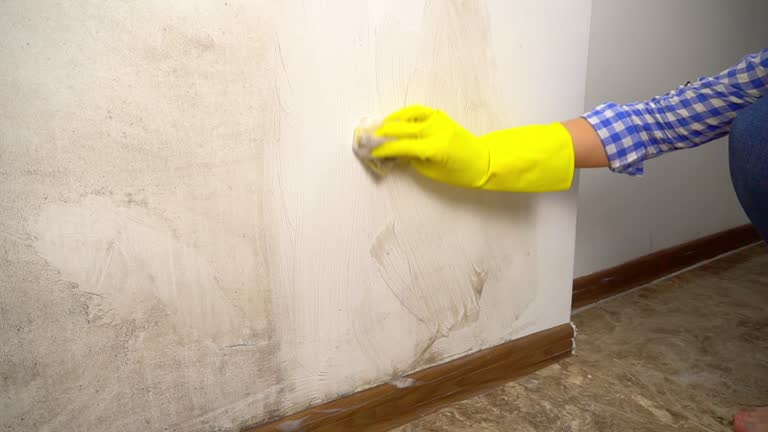 Best Airborne Mold Testing  in New Haven, WV
