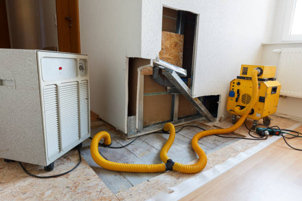 Best Mold Remediation for Rental Properties  in New Haven, WV